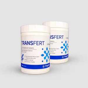 Pide 1 Transfert y lleva el segundo pcon el 30% de descuento.